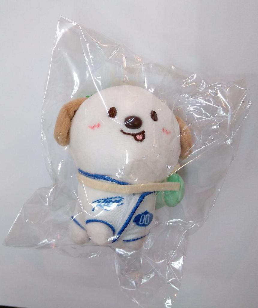 [USED] RIIZE Anton WE LITTLE RIIZE Doll Keyring