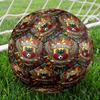 Go Ahead Eagles Print Maat 5 Voetbal, Standaard Wedstrijdvoetbal voor Sportwedstrijd en Teamtraining, Ideaal Cadeau voor Voetbalfans