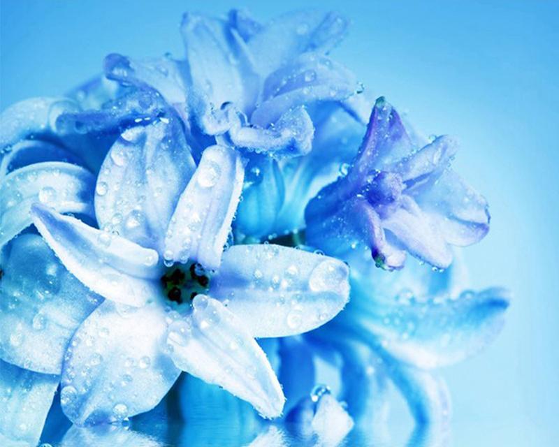 5D DIY Diamond Painting Full Round Square Rose Landscape Rhinestones Diamond Embroidery Cross Stitch Flowers Mosaic Handicraft