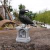Jardinagem e paisagismo – Decoração de jardim