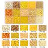 8/10/12/15 Grid Box: Seed Beads, Sequins, Imitation Pearls for DIY Necklaces & Phone Chains