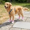 4pcs Skid Tough Sole Breathable Pet Shoes Summer Puppy Footwear  Summer Outside Travel