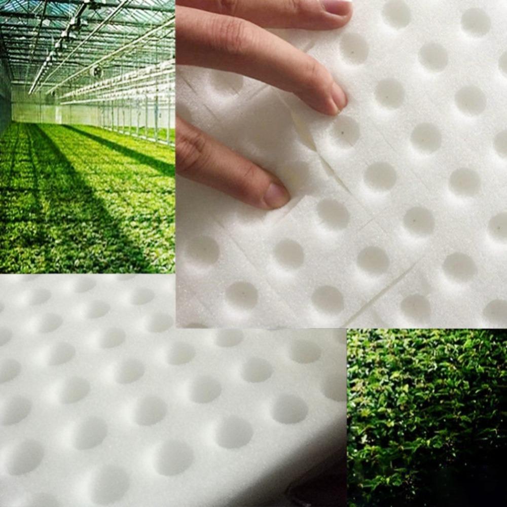 Vegetables Groundless Cultivation System Planting Sponge Seed Trays Grow Mesh Cup Hydroponic Sponge