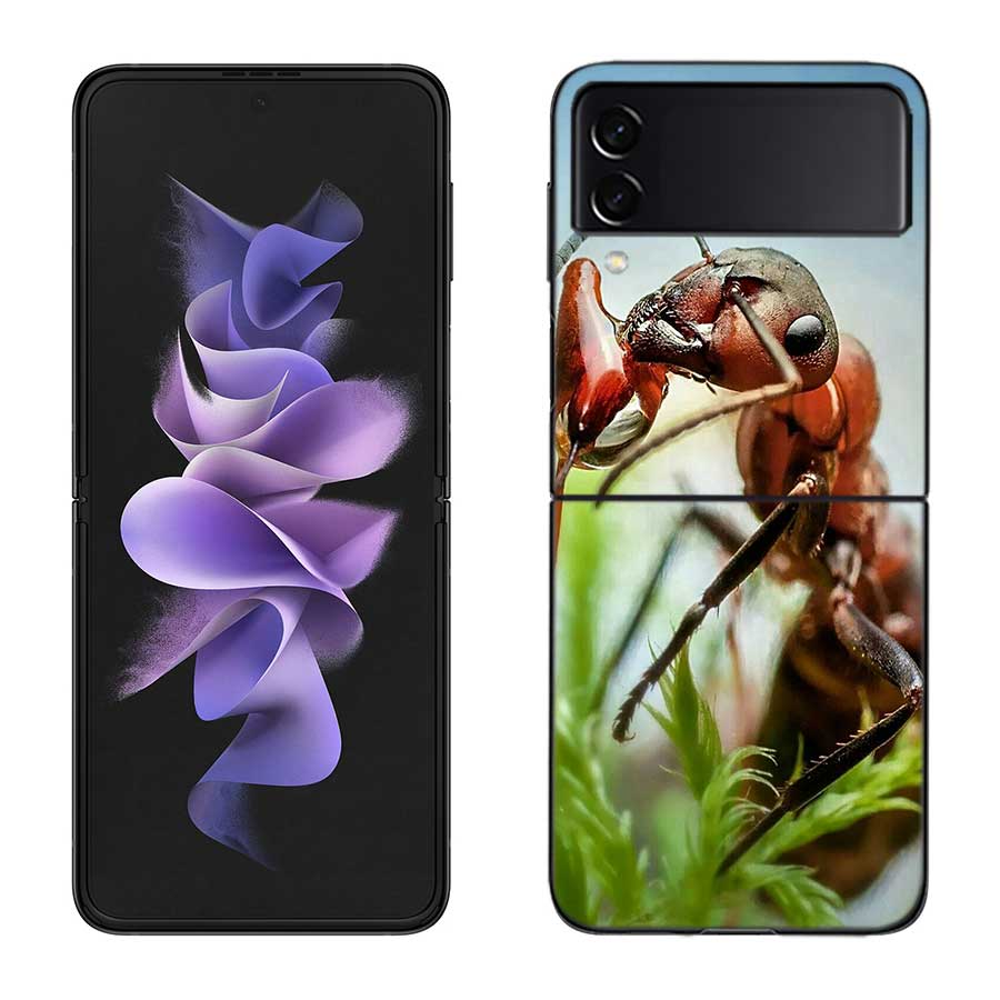 Red Fire Ants, Worker Ants Phone Case For Samsung Z Flip 7 6 5G Galaxy Z Flip 5 4 3 Black Hard Cell Cover Luxury PC Shell Coque