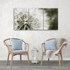 Three Piece Picture Canvas Print Blower White Flowers