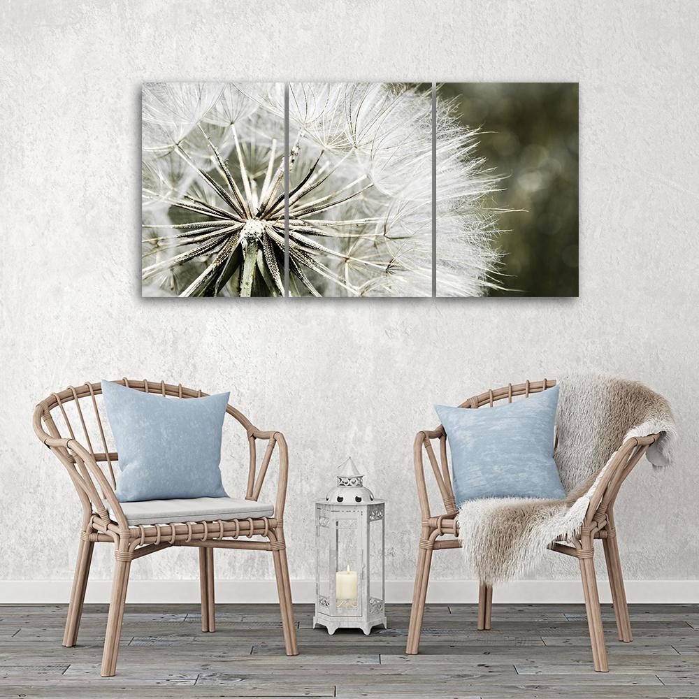 Three Piece Picture Canvas Print Blower White Flowers