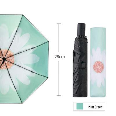 Accessori – Ombrelli
