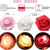 LED Colorful Rose String Lights for Valentine's Day & Romantic Room Decor