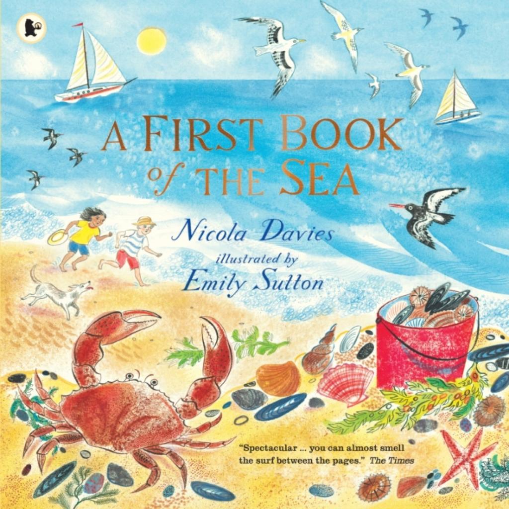 A First Book of the Sea by Nicola Davies Paperback Book 9781406391015