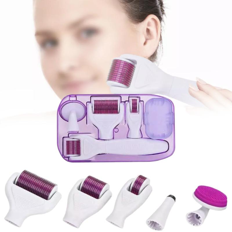 Roller 6 Derma In 1 Titanium Micro Needle Anti Ageing Facial Skin Care Tool Set