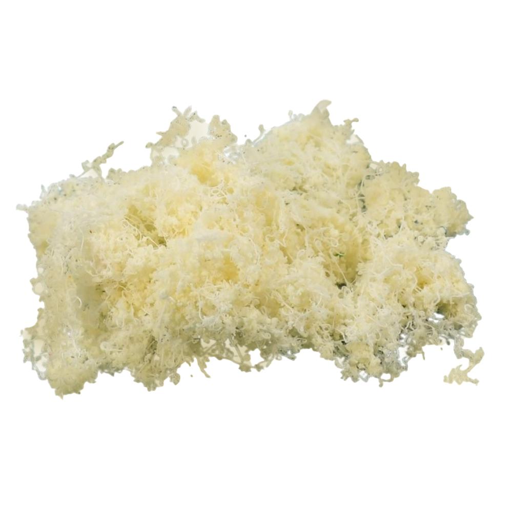 Garden Expanding Wooden Trellis Expandable Trellises Aluminum Riveted Each Piece Artificial Green Plants Miniature