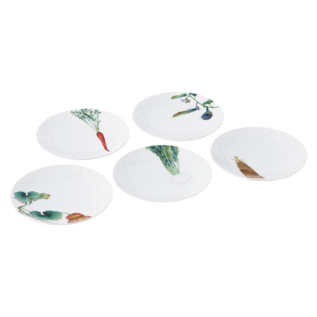 Noritake Plates (Set of 5) 15.5cm Kyoka Shunsai Design, Microwave and Dishwasher Safe, Fine Porcelain, F9931A/1620-38