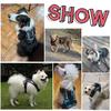 Pettorina riflettente per cani, gilet anti-tiro per cani, guinzaglio per cani di piccola, media e grande taglia, targhetta identificativa personalizzata, accessori per cani