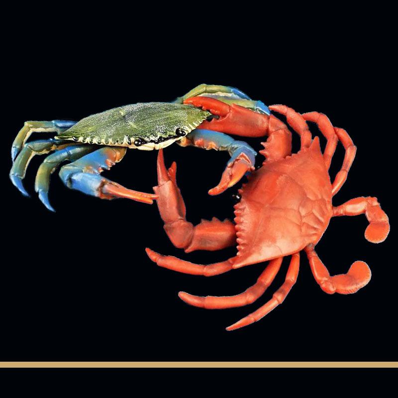 1Pc  Children's Fun Educational Marine Biology Simulation Model, Solid Crab, Blue-footed Crab Animal Toys