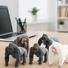 PVC Simulation Gorilla Animal Toy Handmad Chimpanzee Action Figure  Kids Birthday Gift