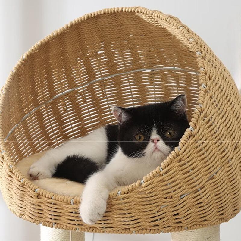 Solid Wood Cat Tree Large Pets Cat Sleeping Tree Transparent Cabin Kitten Tower Pet Toy Accessories Nap Scratching Post for Cats