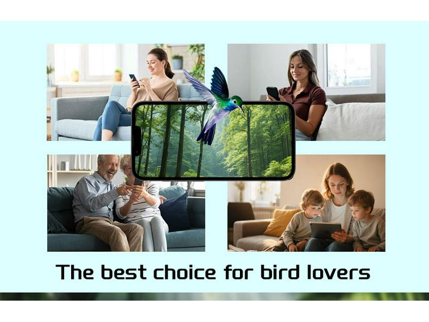 Smart Solar HD Bird Feeder with AI Hummingbird Identification