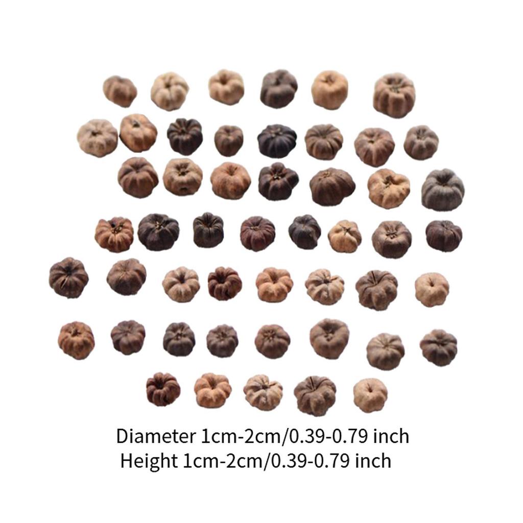 50x Mini Dynie Dekoracja do Rękodzieła Ozdoby Wypełniacz do Wazonów Mini Dynie na Święto Dziękczynienia Ślub Wianek Potpourri DIY Dom