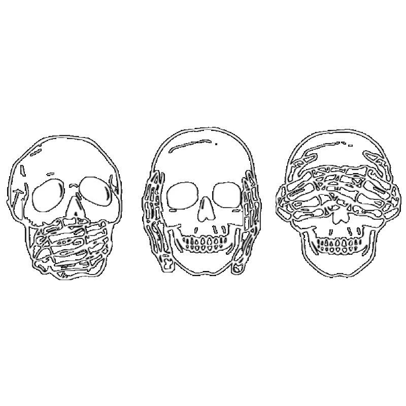 Black T Shirt with Three Skulls and Text Print for Casual Wear