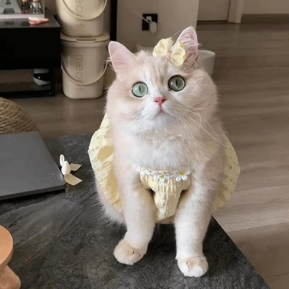 Sweet Cat Princess Skirt Breathable Puppy Dresses Pet Suspenders  Outdoor Activities