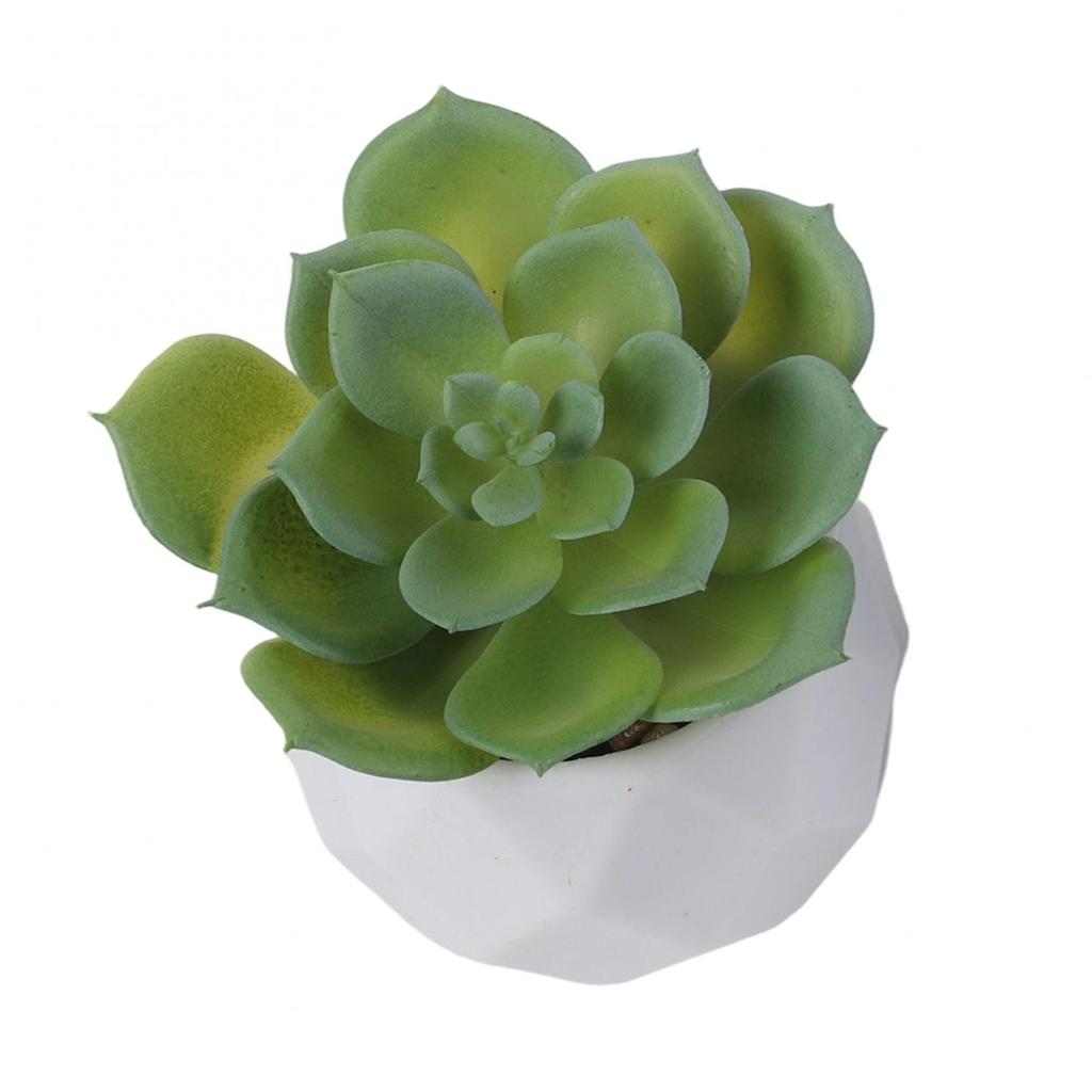 Artificial Succulents Decorative Flower Pot Easy Maintenance