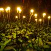 2 Pack Outdoor Swaying Solar Garden Lights 8 LED Vibrant Firefly Starburst Swaying Lights IP65 Waterproof for Lawn Hallway Patio