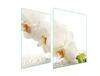 GLAS-KOCHFELD-SCHUTZPLATTE 70x52 ORCHIDEE