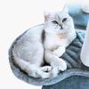 Schattige Zachte Kattenhangmatten Comfortabele Kattenlepelbedden Doe-het-zelf Kattenklimrekken Kattenrust