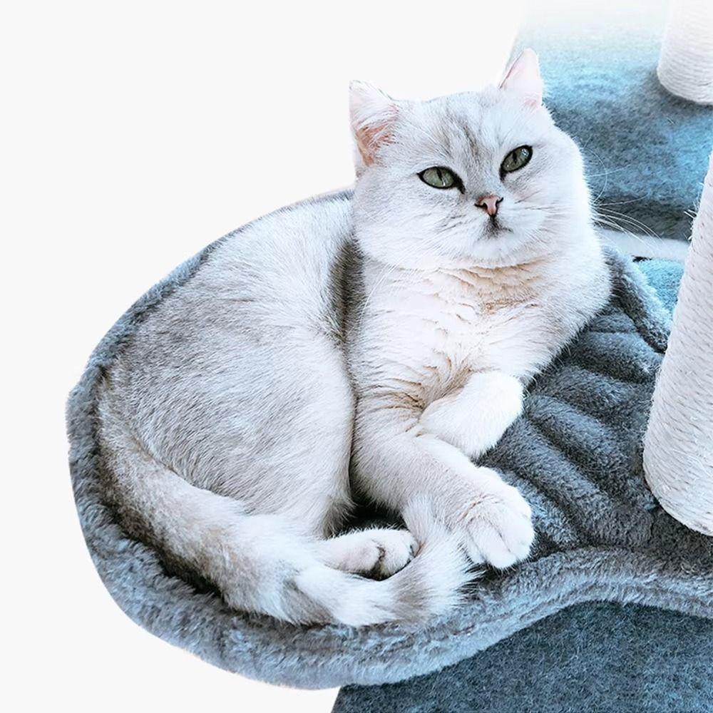Schattige Zachte Kattenhangmatten Comfortabele Kattenlepelbedden Doe-het-zelf Kattenklimrekken Kattenrust