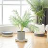 Flower Pot Tray 13 Inch Rolling Plant Caddy with Silent Wheels Easy Pot Movement Thickened Resin Flower Pot Tray