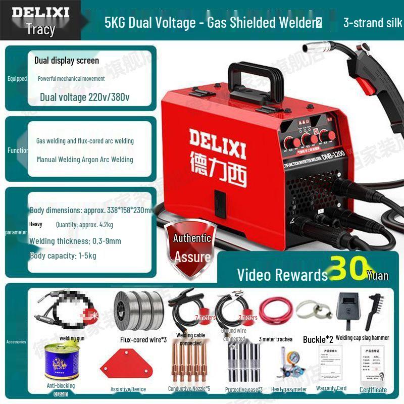 DELIXI 220V Electric Gasless MIG Welder - 3-in-1 Household and Industrial Welder