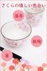 Birthday Present Tea Cup Mino Ware Gift Wrapped Made In Japan Hana Matsuri Rice Bowl Tea Cup with Tenpo Chopsticks Card (Message B)