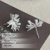 Cuiyan S925 Silver Fireworks Stud Earrings - High-End Autumn/Winter Style for Women, Trendy Korean Design