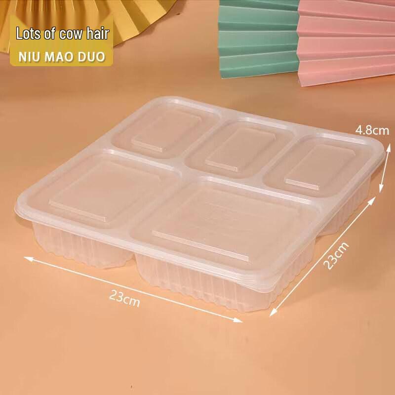 Transparent 5-Compartment Food Storage Box