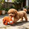 Pet Toy Lizard Shape Bite-Resistant Knot Interactive Dog Chew Toy Relieves Boredom Puppy Teething
