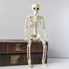 2025 Halloween Skull Skeleton 90cm Posable Skeleton Human Shape Bones Halloween Party Home Decorations Haunted House Horror Prop
