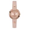 Watch ICON SHAPE Rose Gold Dial Stainless Steel Mineral Glass Quartz Daily Waterproof 34MM China Watch WW00032012L3 Women's