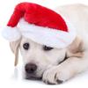 1PC Christmas Pet Hat Santa Claus Hat for Cats & Dogs Puppy Xmas New Year Party Cosplay Headwear Costume Accessories