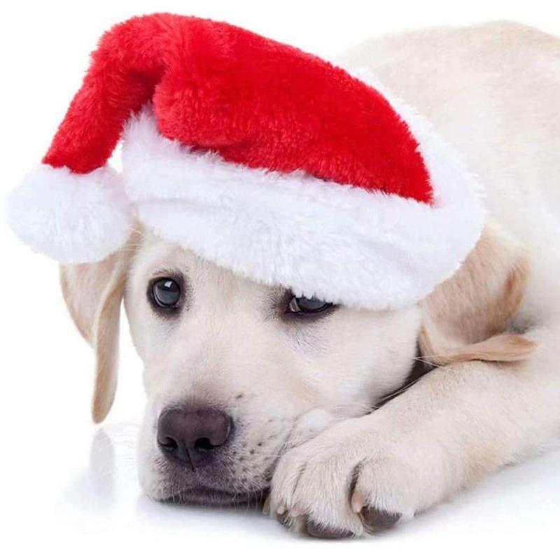 1PC Christmas Pet Hat Santa Claus Hat for Cats & Dogs Puppy Xmas New Year Party Cosplay Headwear Costume Accessories