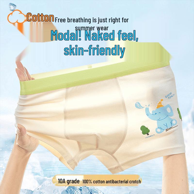 Boys  Ice Silk Boxer Briefs 4-Pack 5XL