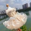 Champagne Pet Dog Clothes Spring Summer Soft Hollow Lace Bow Sling Dresses For Small Medium Dog Chihuahua Puppy Costumes Skirts