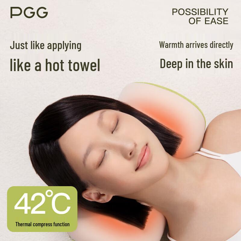PGG W8 Heating Kneading Back & Waist Massager