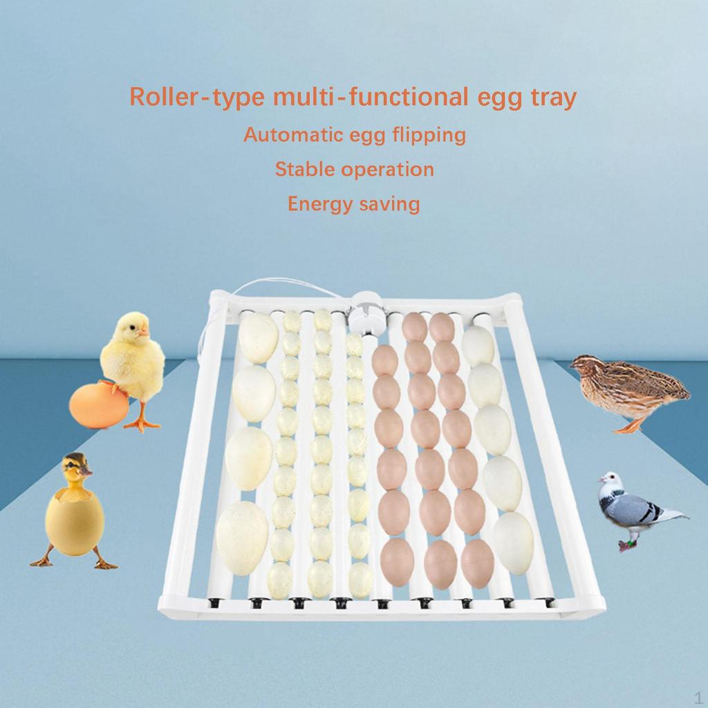Chicken Egg Incubator Lightweight Incubation Tray for Quail Pigeon Goose Holds 70 Eggs