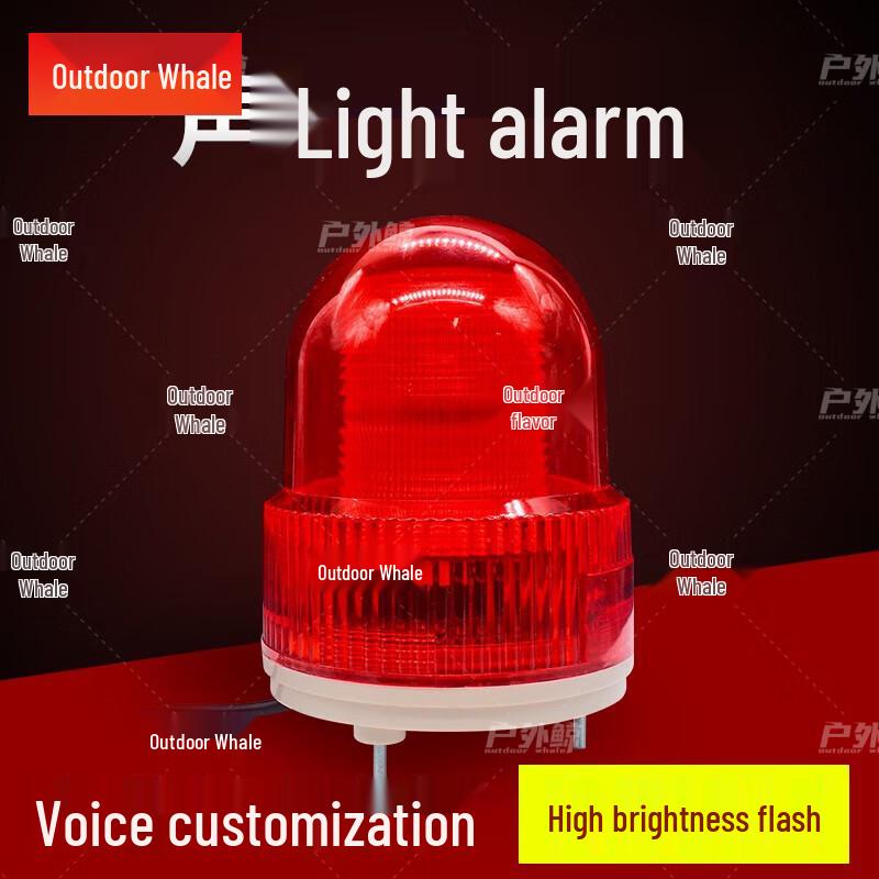 Outdoor 12V Sound & Light Alarm with Voice Broadcast