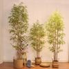 Artificial Bamboo Plant Xxl In A Realistic Pot 180Cm For Home Office