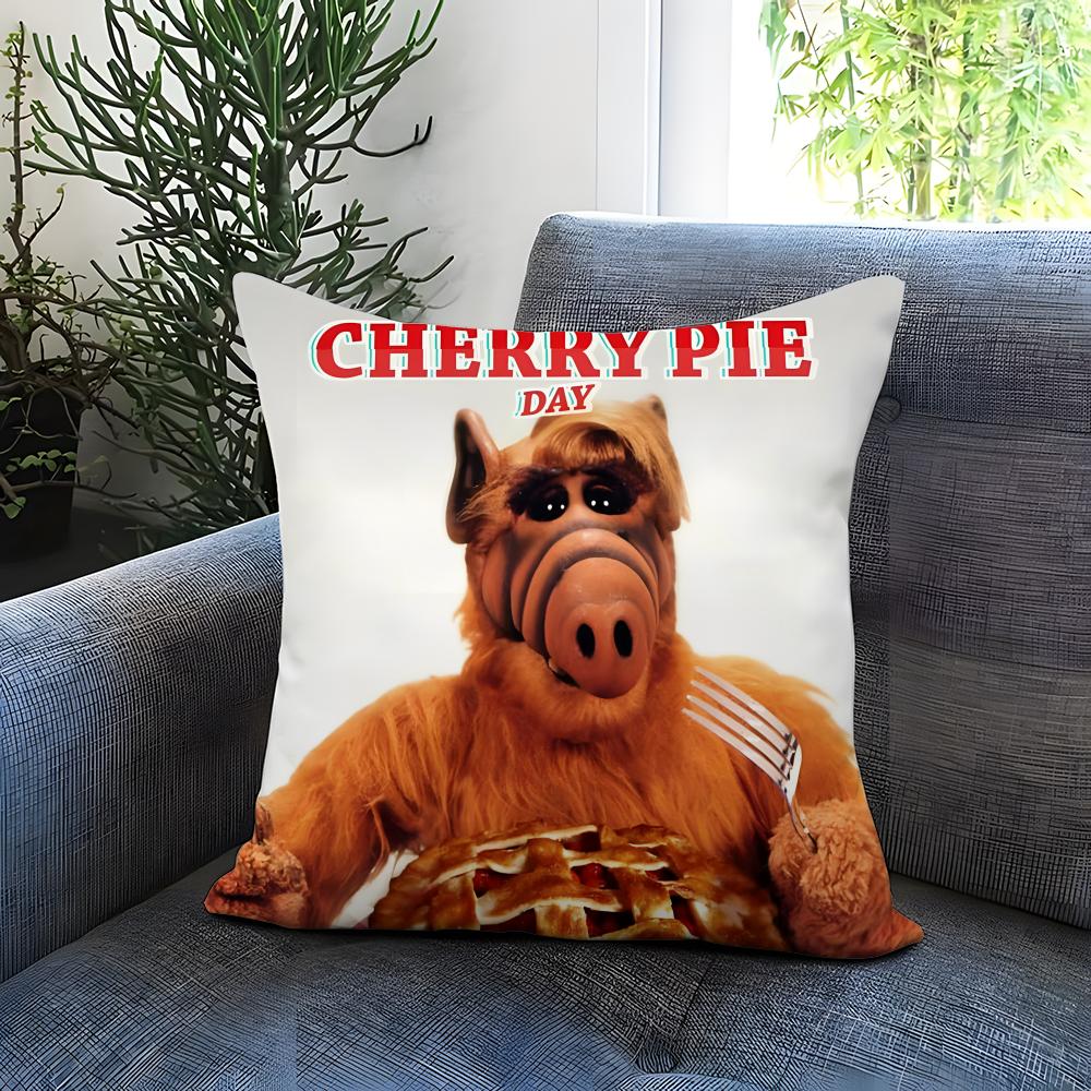 

POPULAR AA-AALFF Cushion Cover Comfortable Reversible Pillow Cover Ideal for Car Sofa Bedroom & Beyond 30cmx30cm