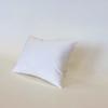 Kawashima Selkon Textiles (KAWASHIMA SELKON TEXTILES) Nude Cushion, 45x25cm, LT1510, Made in Japan, Compressed, White