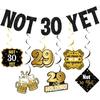 Not 30 Yet Banner Black Glitter with Hanging Swirls, 29th Birthday Decorations for Women Men, Last Year In My 20s, Cheer To 29 Years, Twenty Fucking