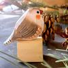 Hand-Carved Painted Wooden Bird Figurine Rustic Small Zebra Finch Statue Sculpture Ornament Decoration for Home Office Living Room