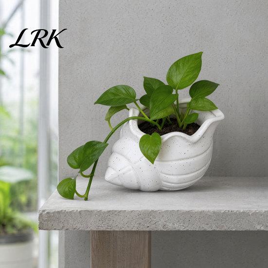 3D Printed Flowerpot Conch Flower Pot, Moisture-Resistant Mini Planter with Wavy Edge And Small Pot Drain Hole Design, Ocean Style for Pothos